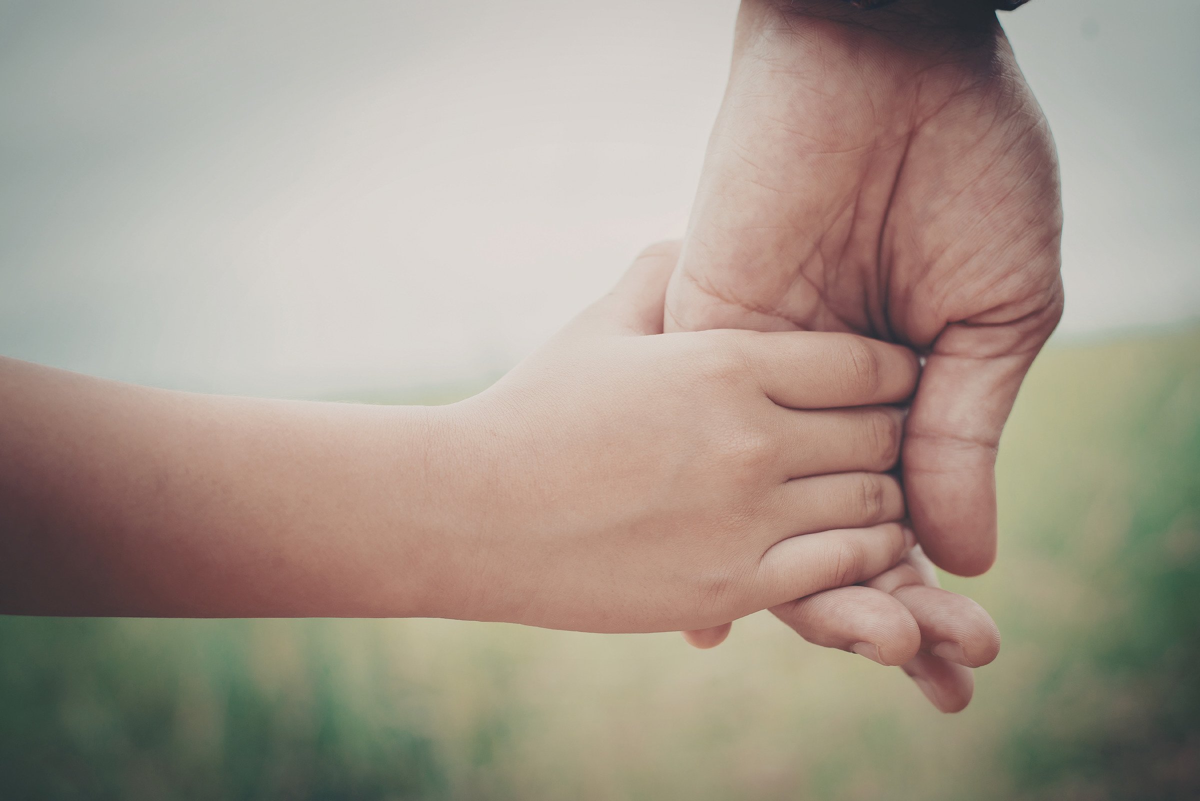 Royal LePage Shelter Foundation