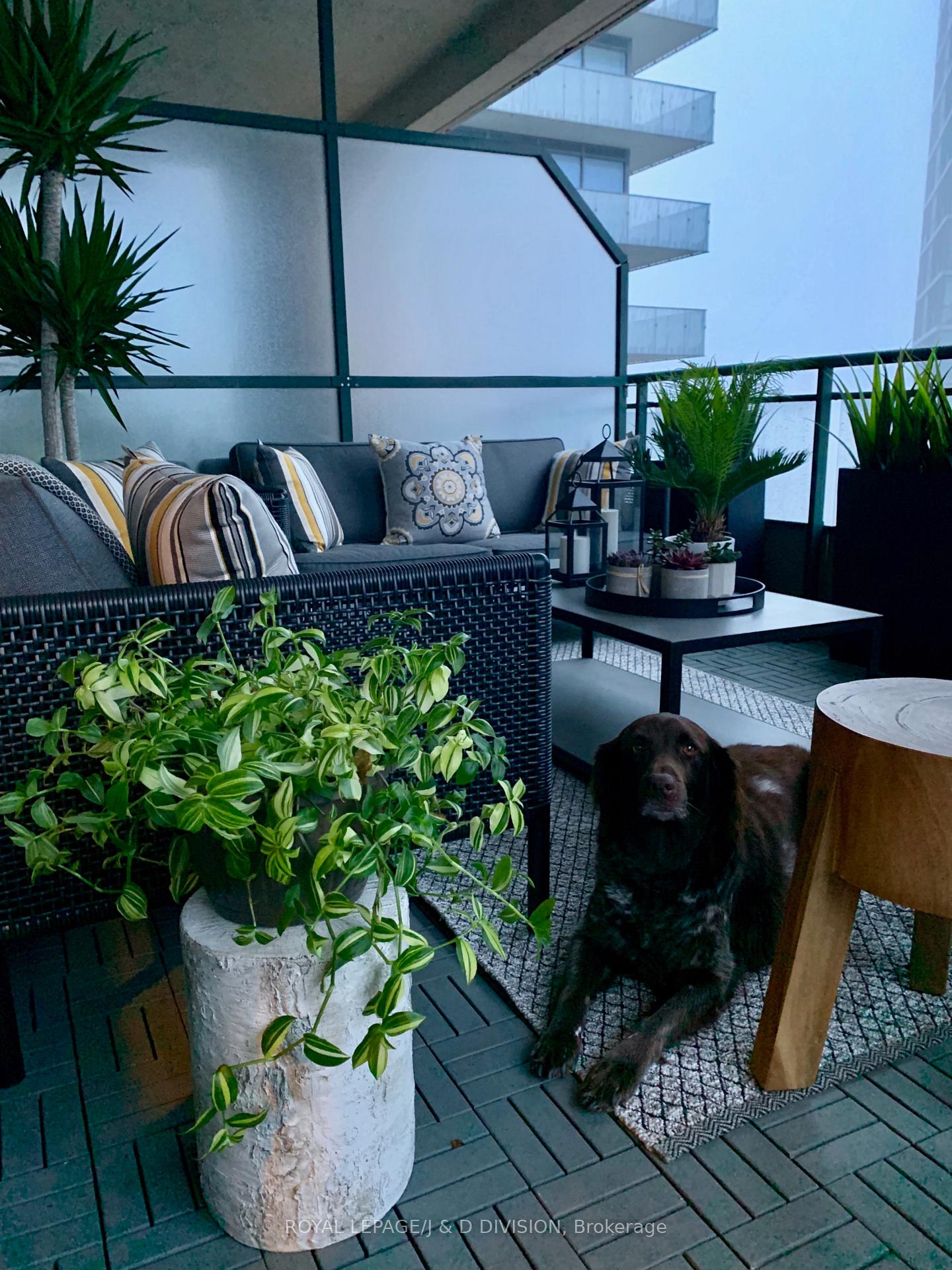 And yes .... full size dogs are welcome!