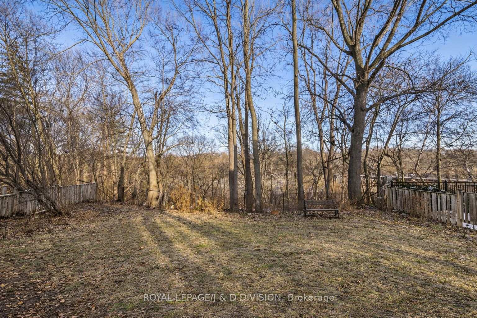 50 X 151 foot lot (irregular, not all table land)