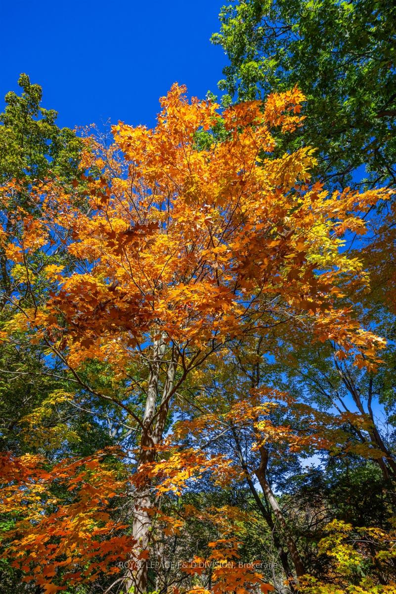 Watch seasons change