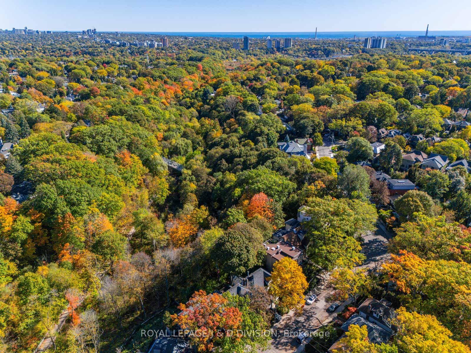 Gorgeous ravine views