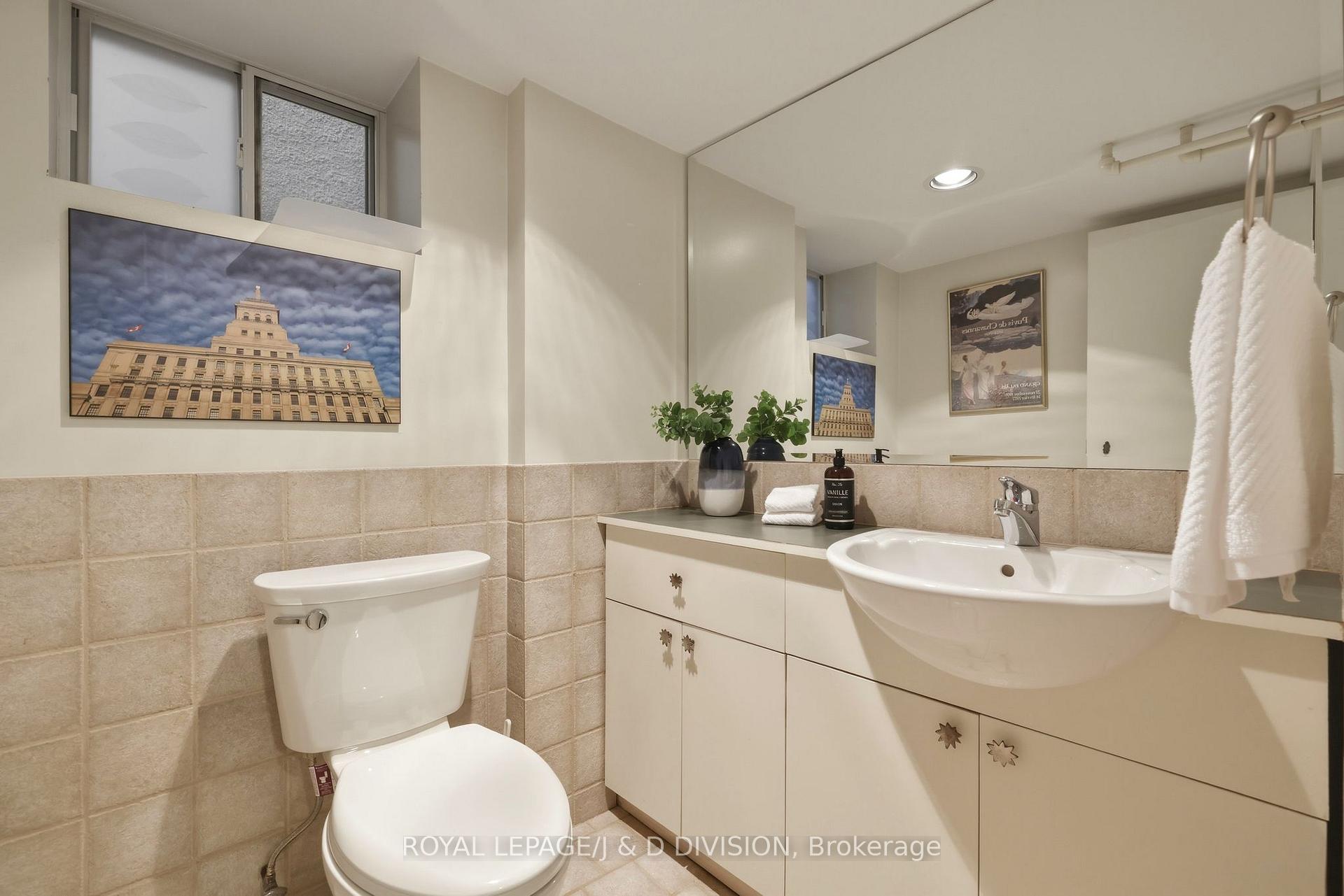 Lower Level Bathroom