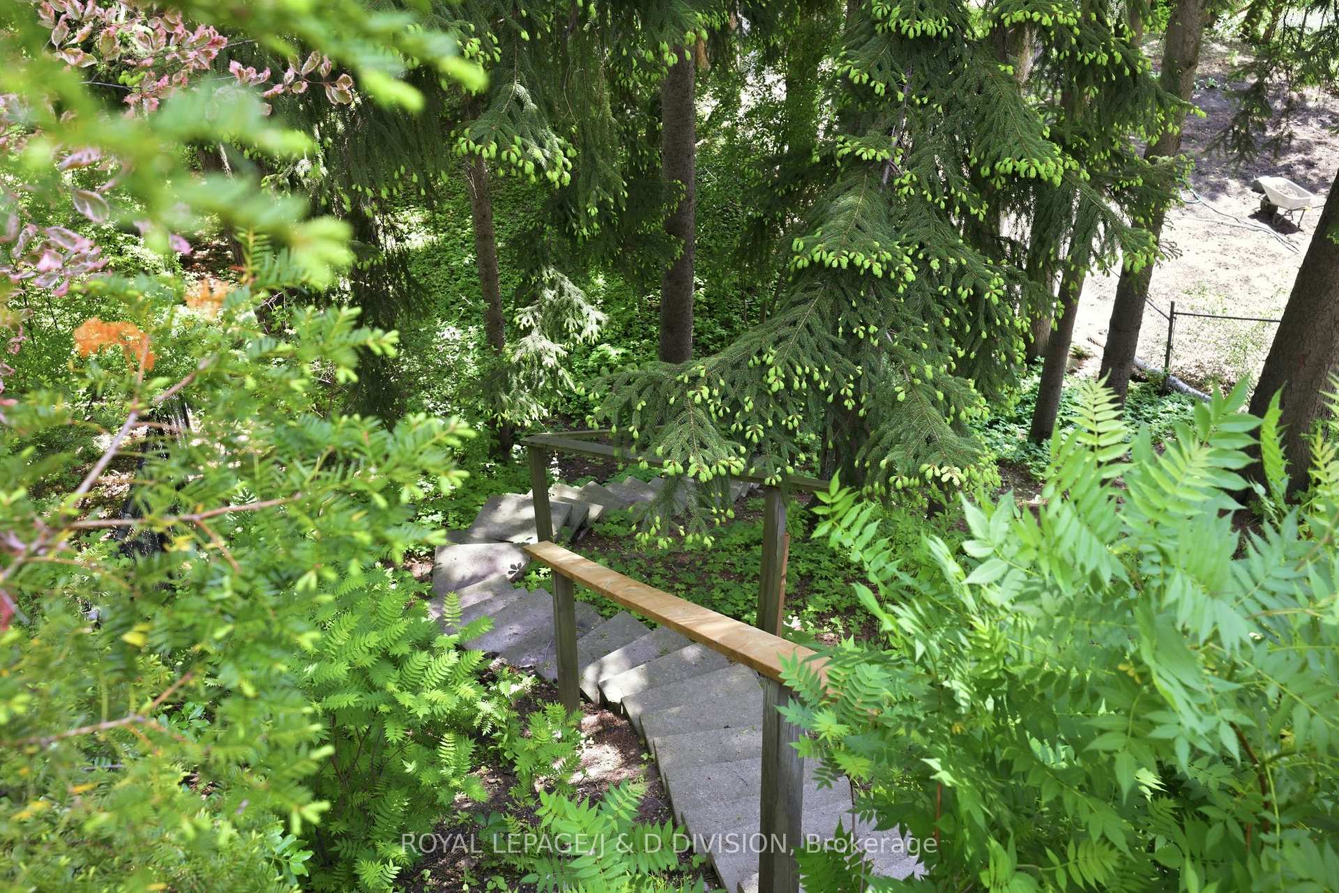 Steps down to the ravine