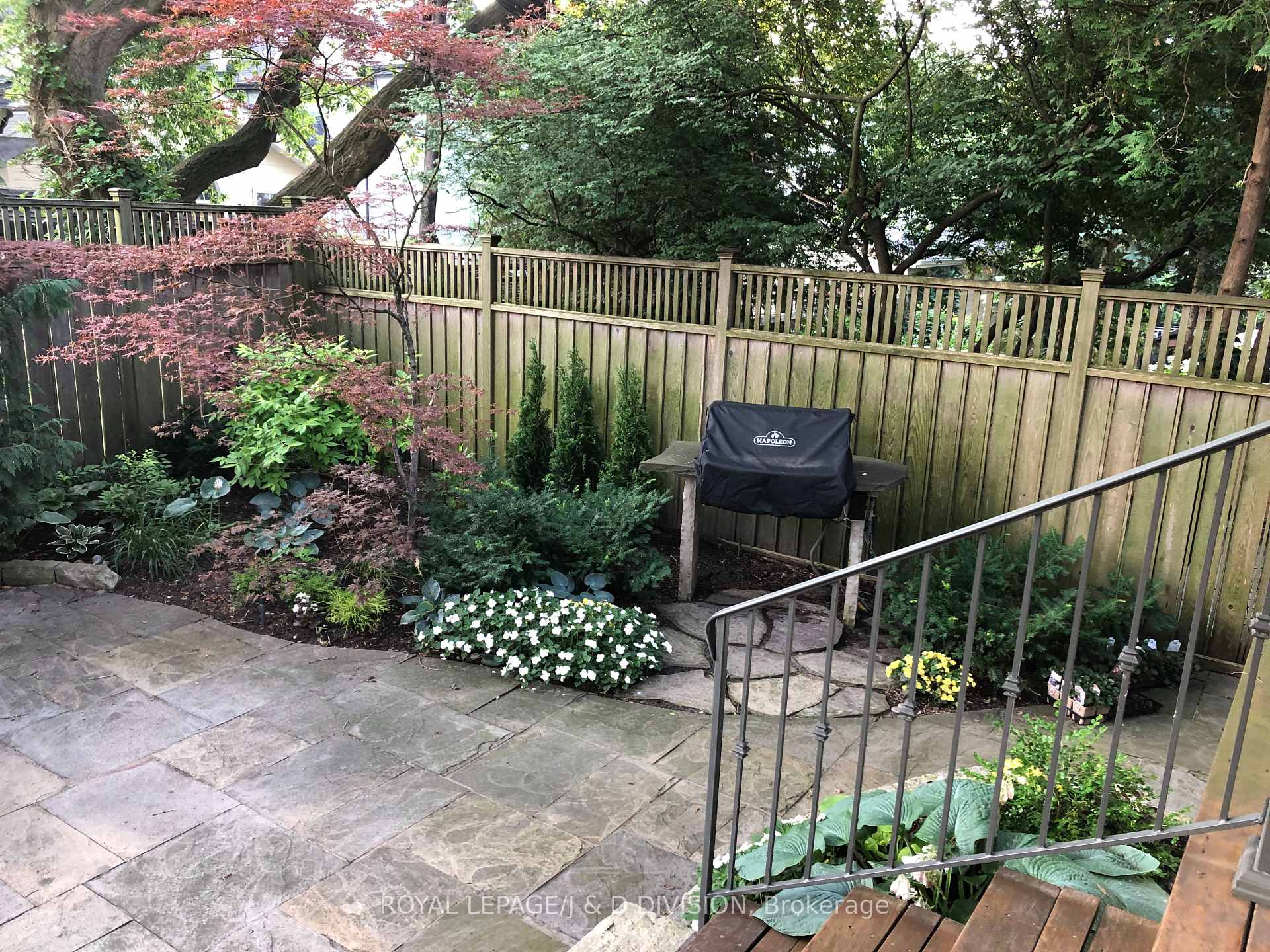 Back Patio in the Summer