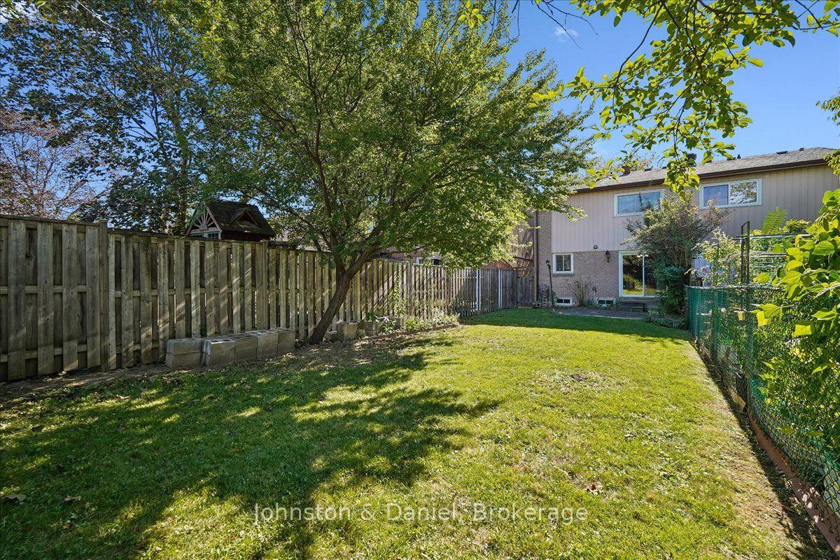 Fenced yard