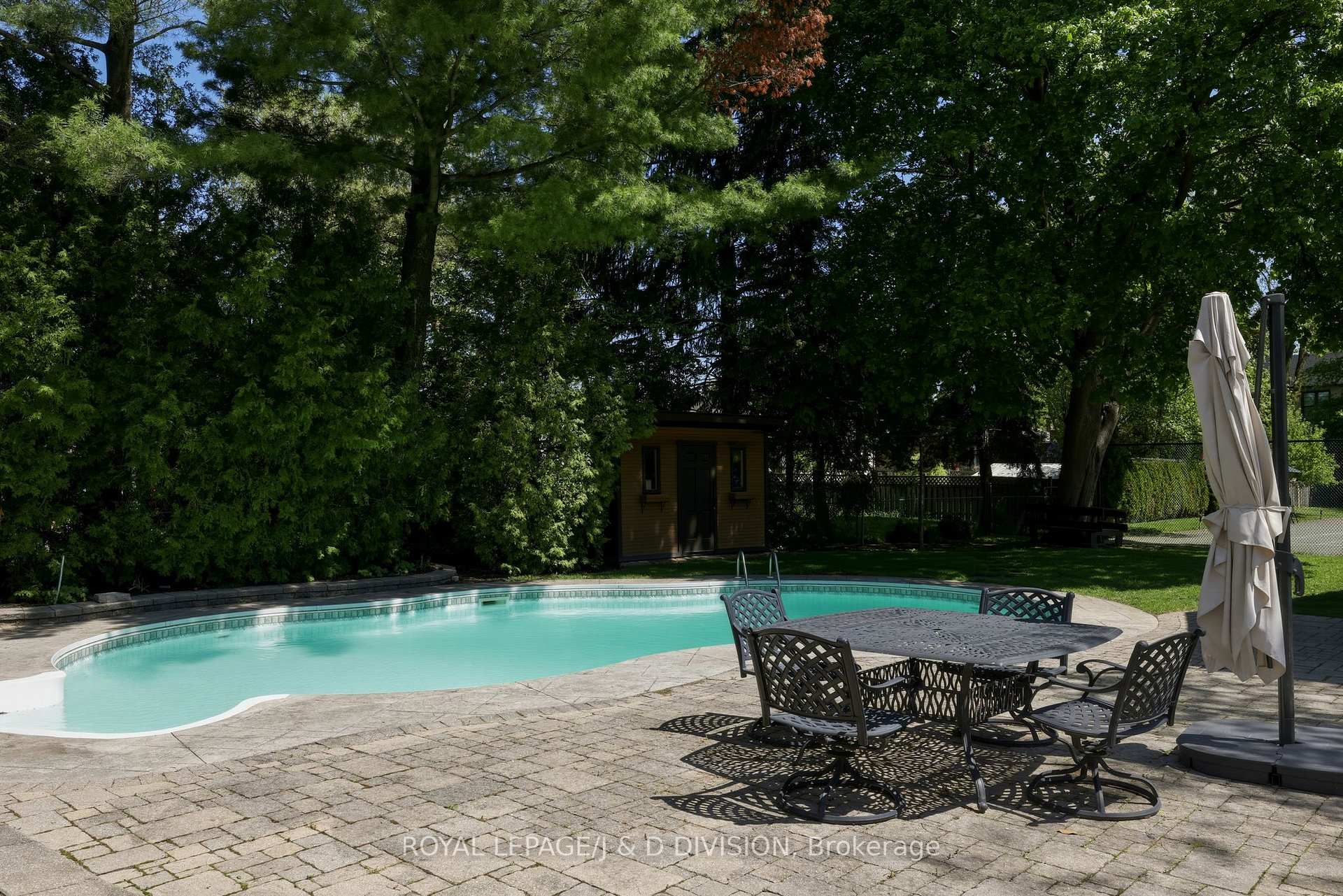 Pool and Patio