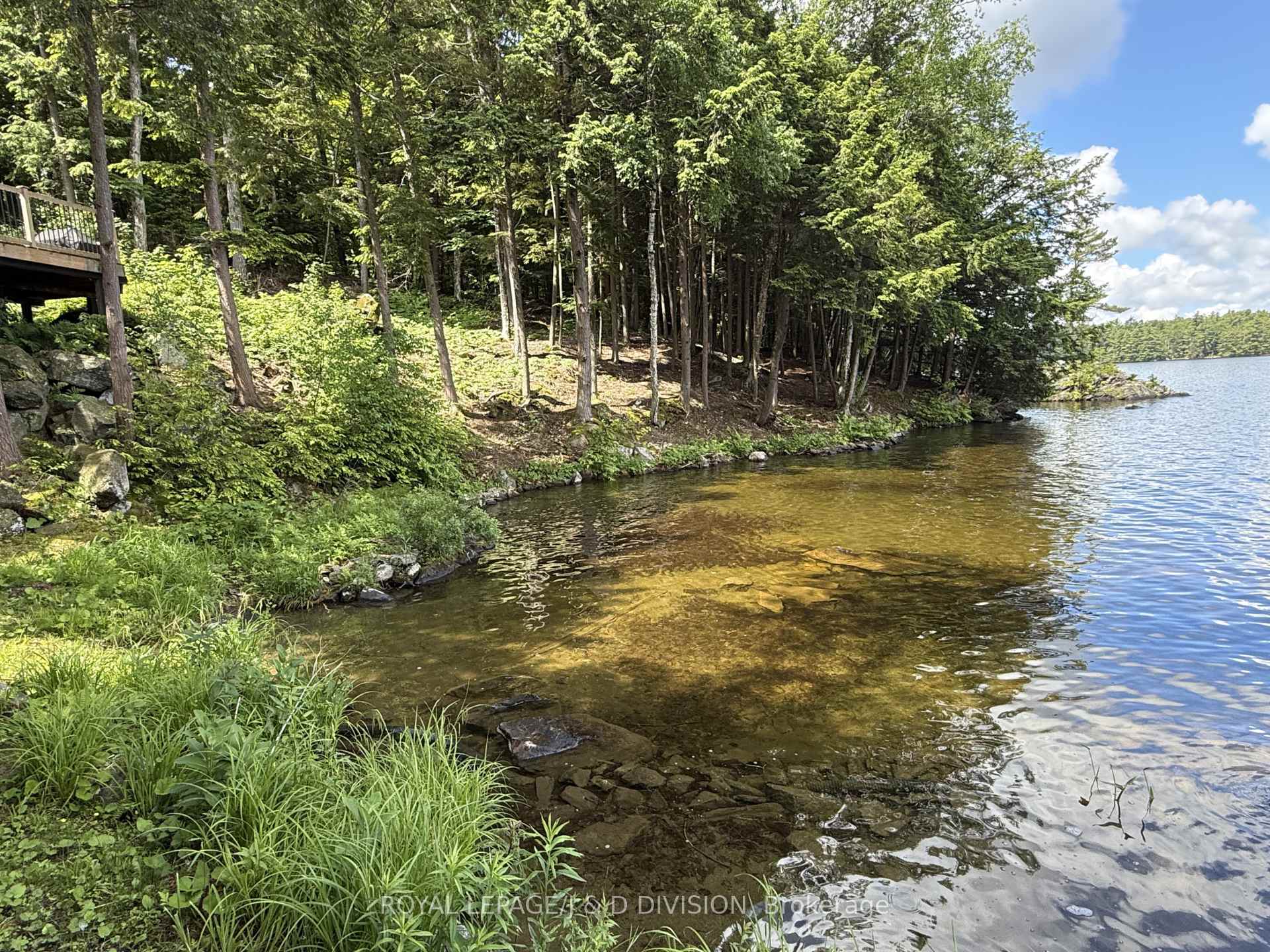 Points of land on both sides = total privacy!