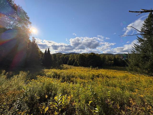 Ch. du Lac-à-la-Loutre, Huberdeau, J0T 1G0