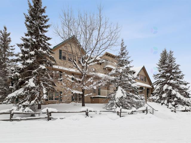 175, Rue du Mont-Plaisant, apt. 7, Mont-Tremblant, J8E1L2