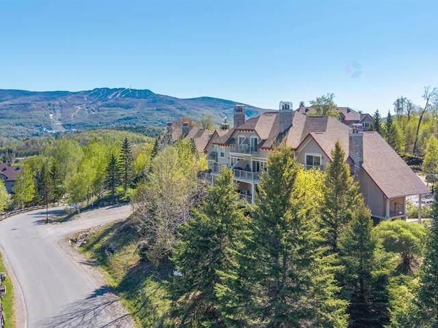 205, Rue du Mont-Plaisant, apt. 3, Mont-Tremblant, J8E 1L2