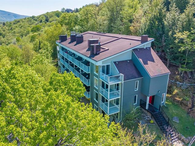 136, Rue du Mont-Plaisant, apt. 207, Mont-Tremblant, J8E 1L2