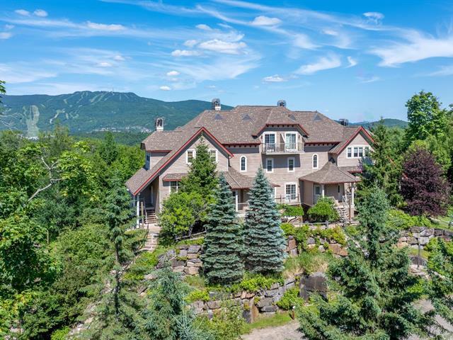 225, Rue du Mont-Plaisant, apt. 1, Mont-Tremblant, J8E1L2