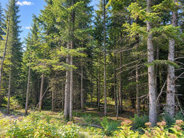 Imp. Ste-Croix, Sainte-Agathe-des-Monts, J8C 2Z7