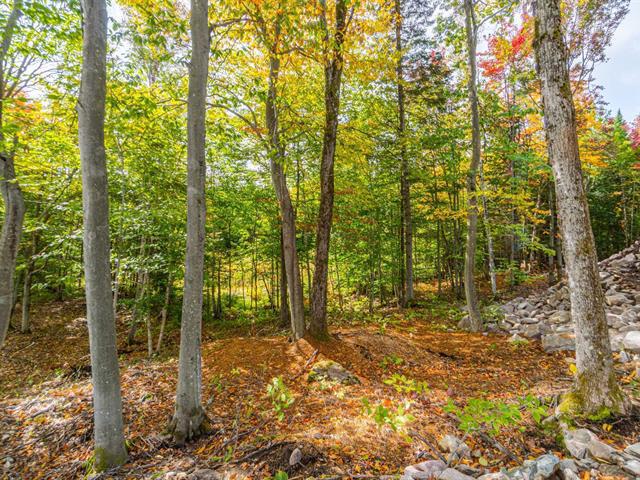 Ch. du Mitik, Mont-Tremblant, J8E2H8