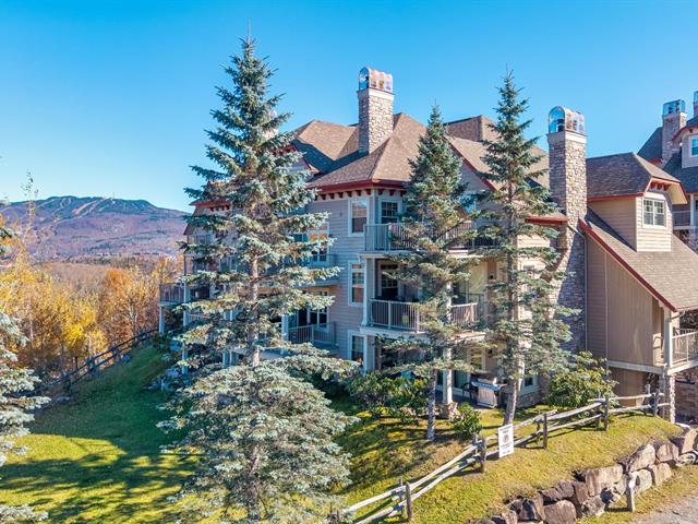 215, Rue du Mont-Plaisant, apt. 1, Mont-Tremblant, J8E 1L2