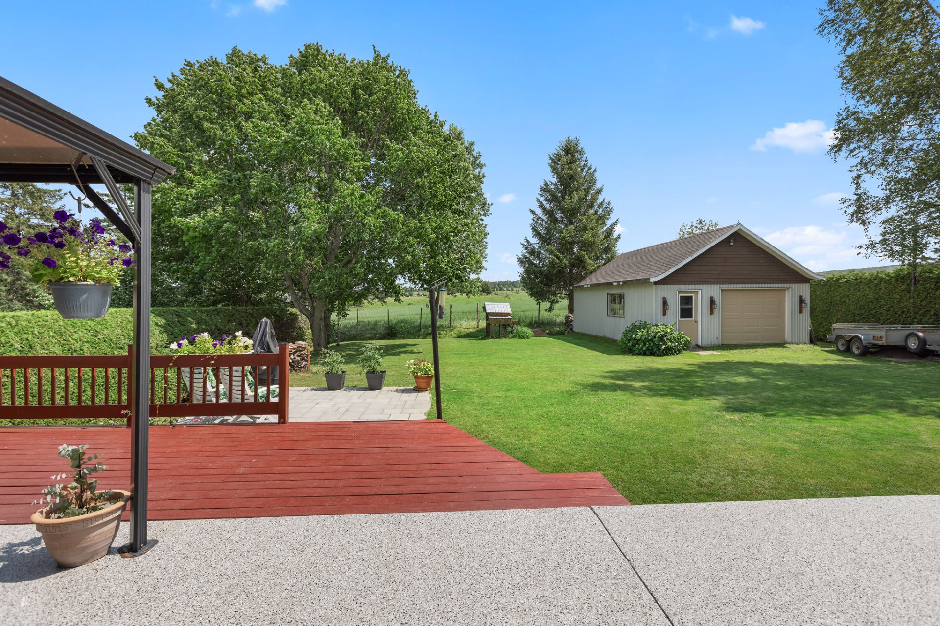 Backyard