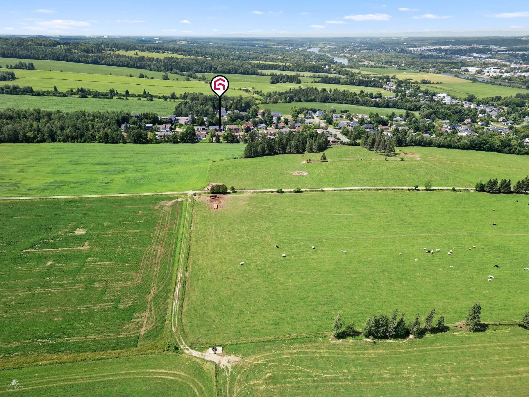 Aerial photo