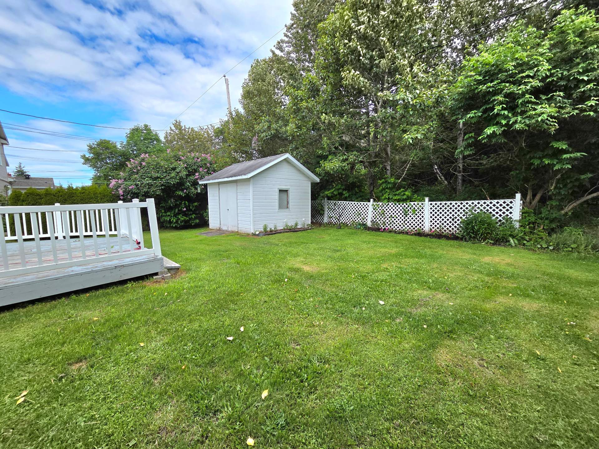 Backyard