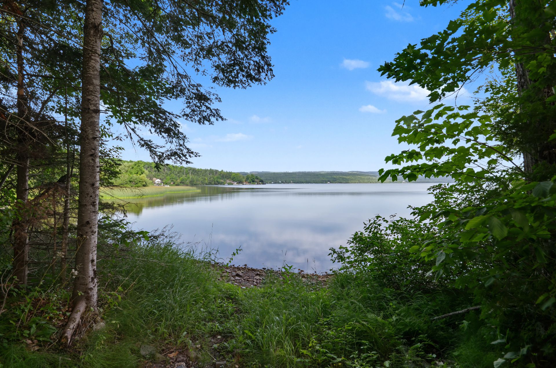 Vue sur l'eau