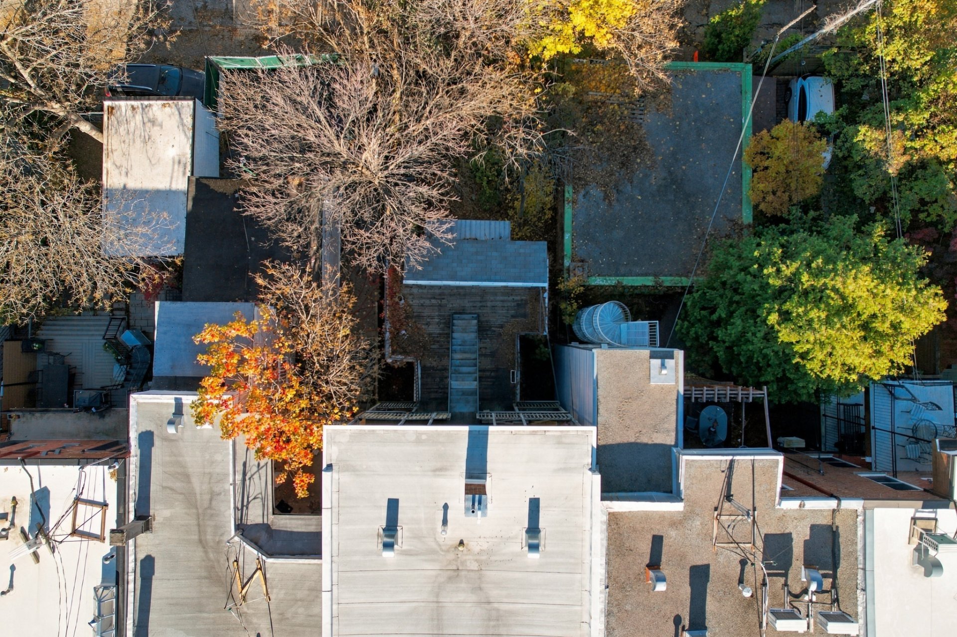 Aerial view of the backyards