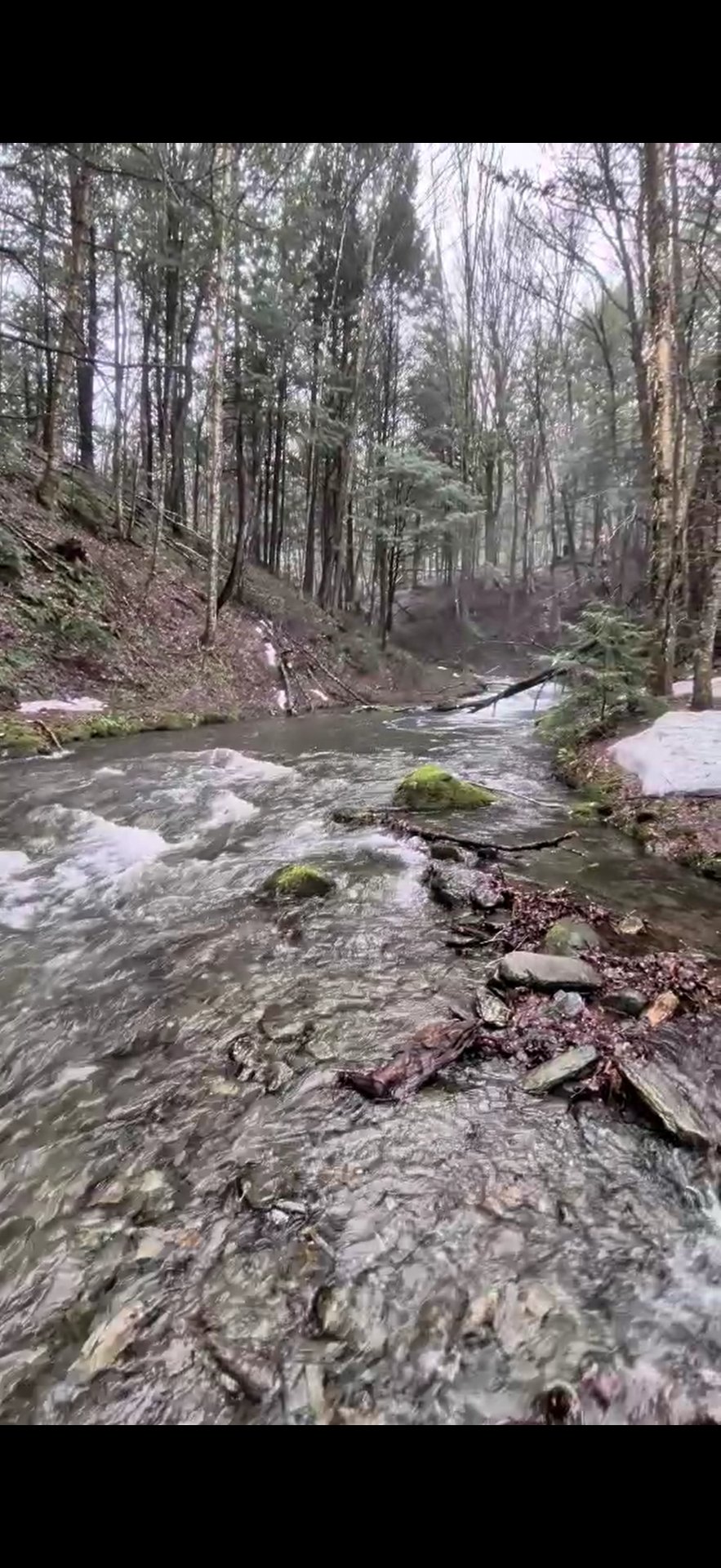 Printemps ruisseau. Pêche possible, toute beauté