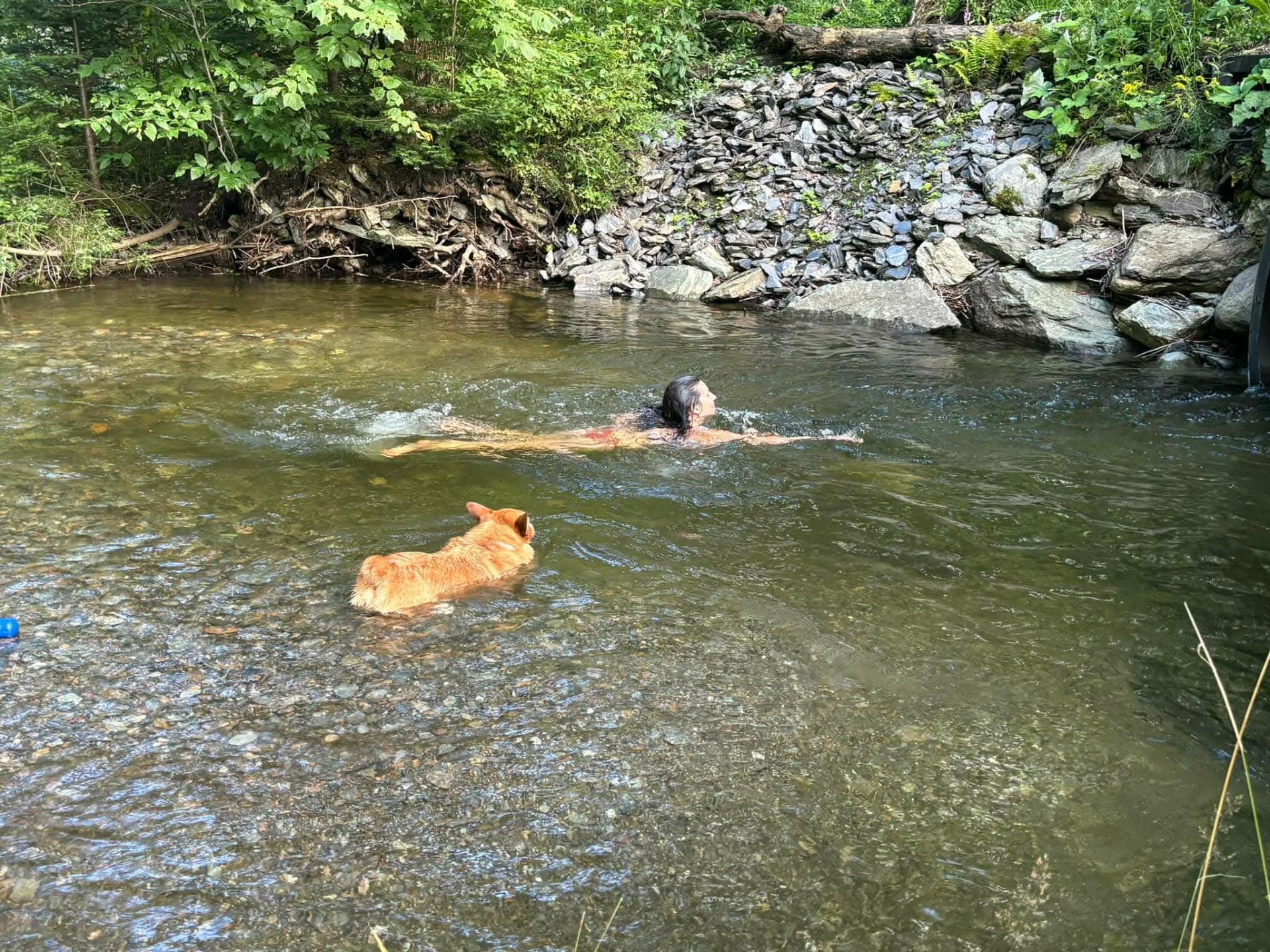 piscine naturelle près du petit pont
