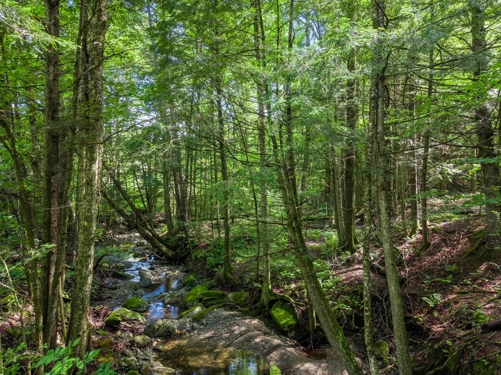 Ruisseau