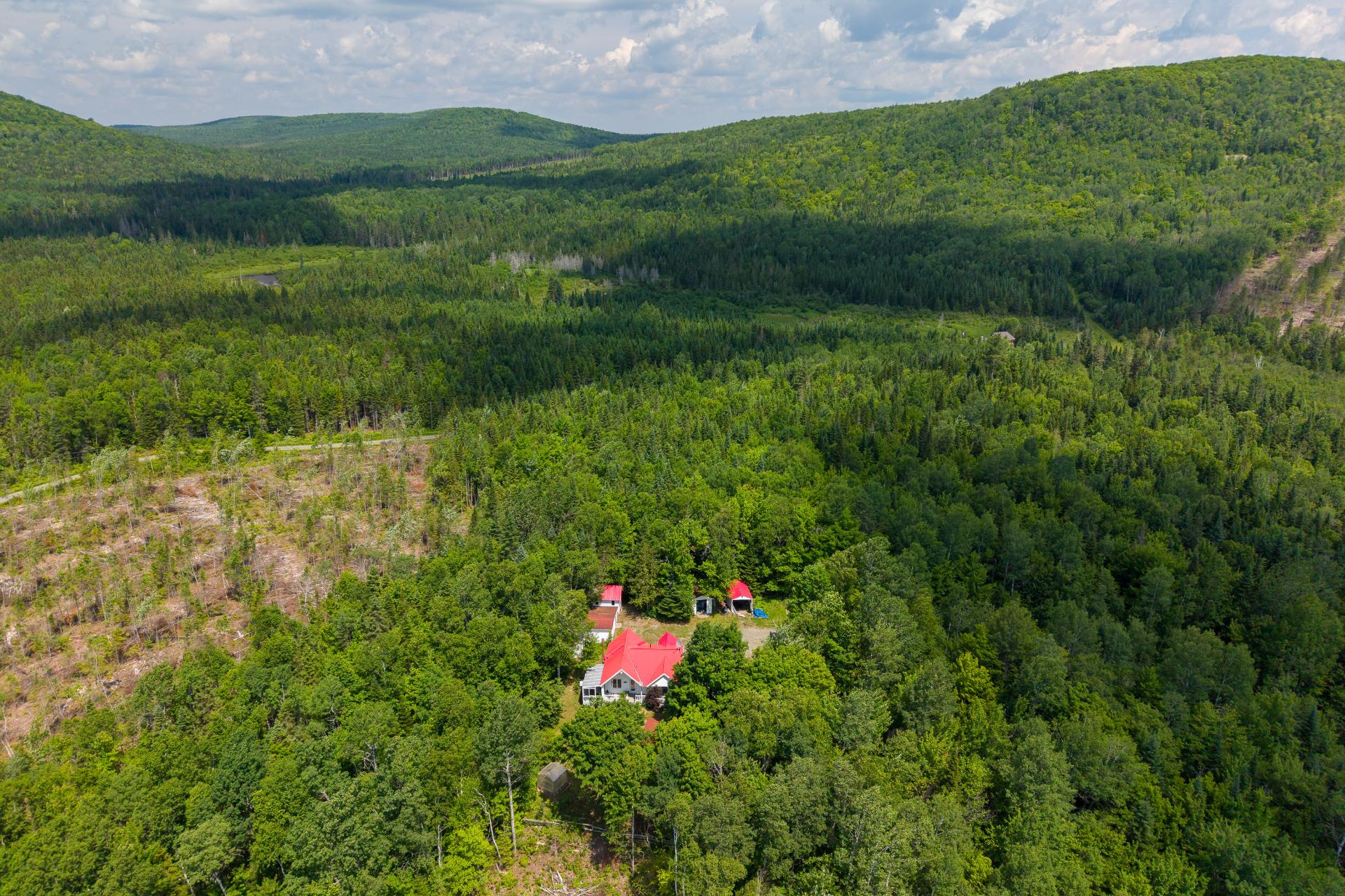 Aerial photo