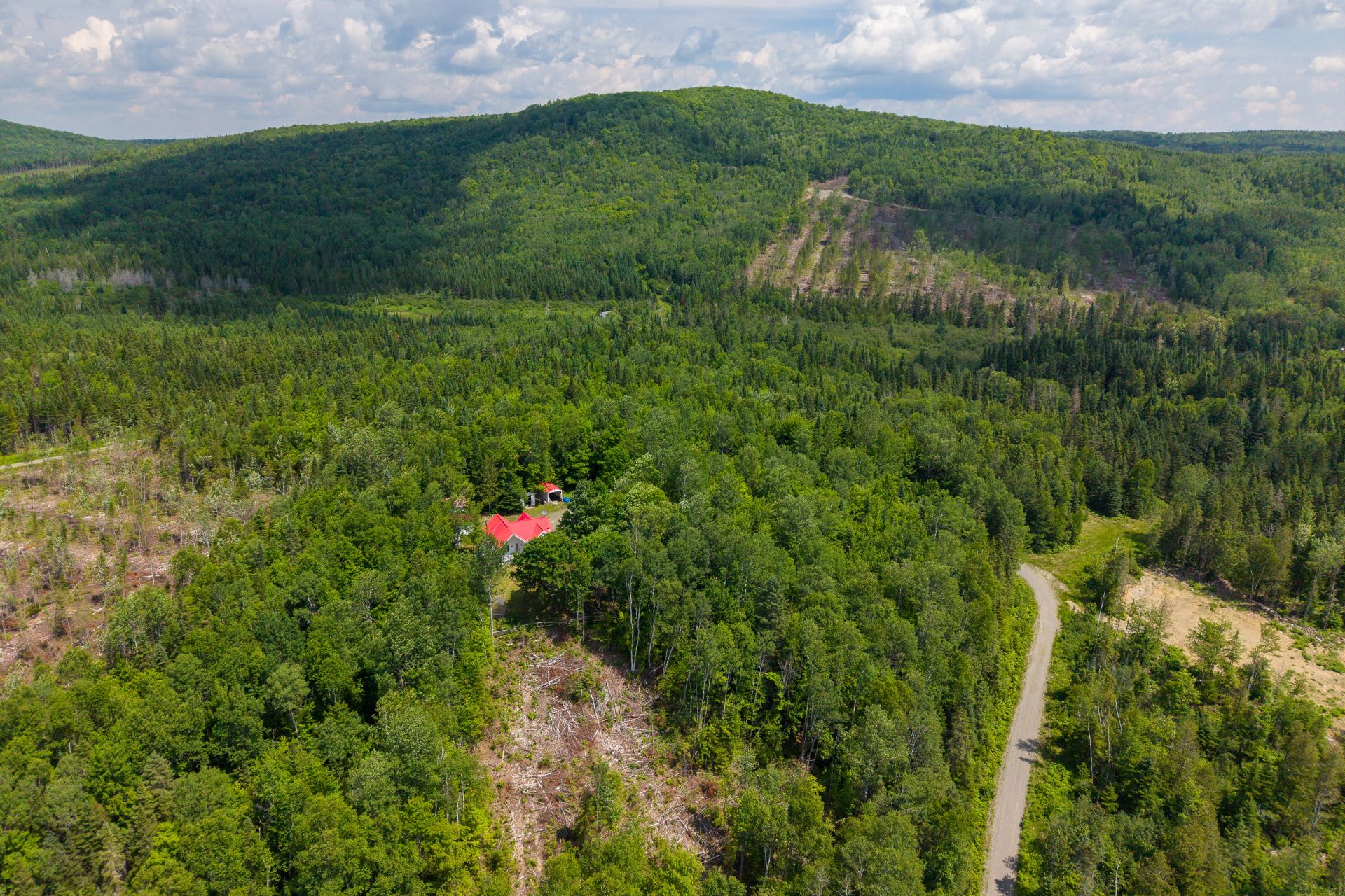 Aerial photo