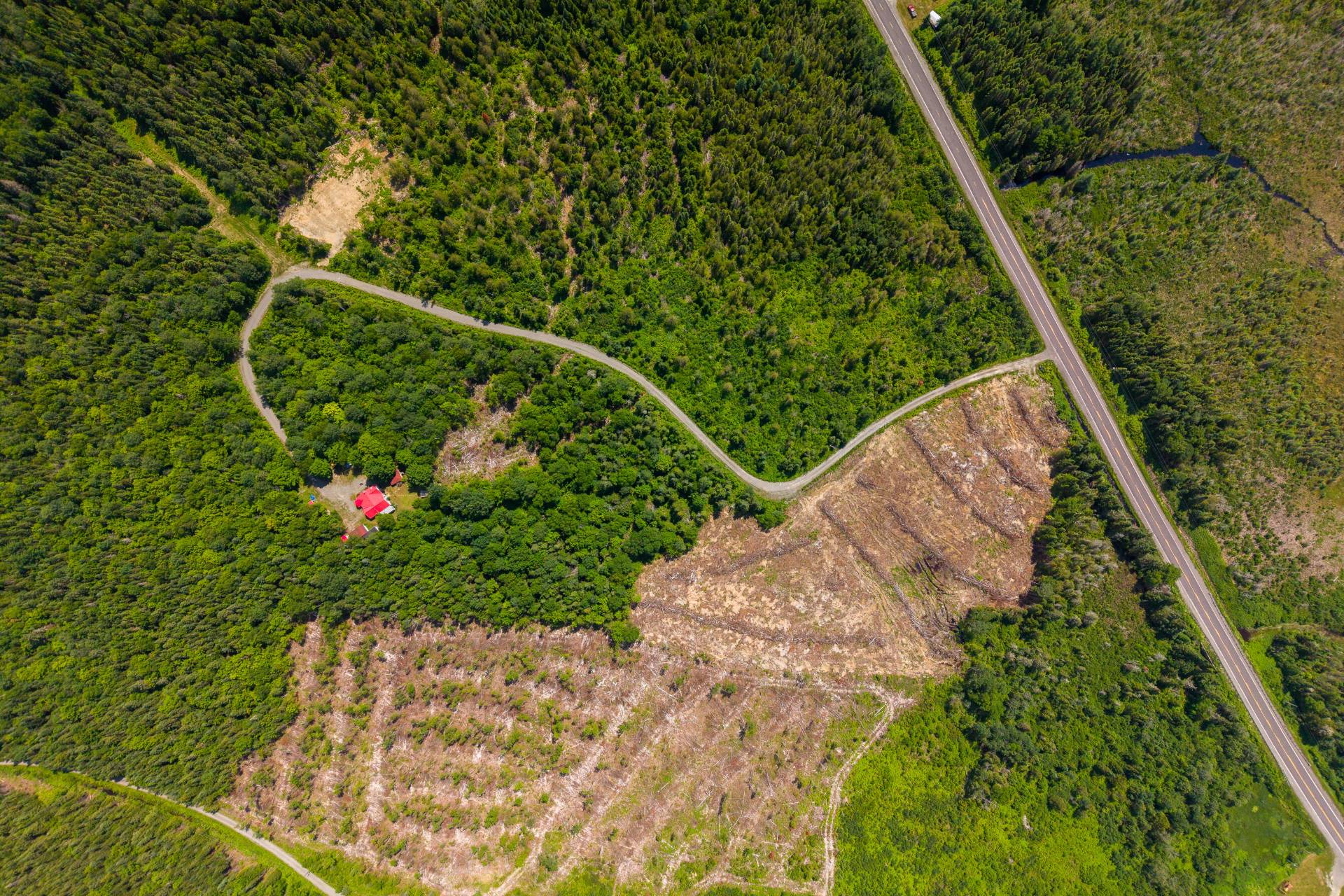 Aerial photo