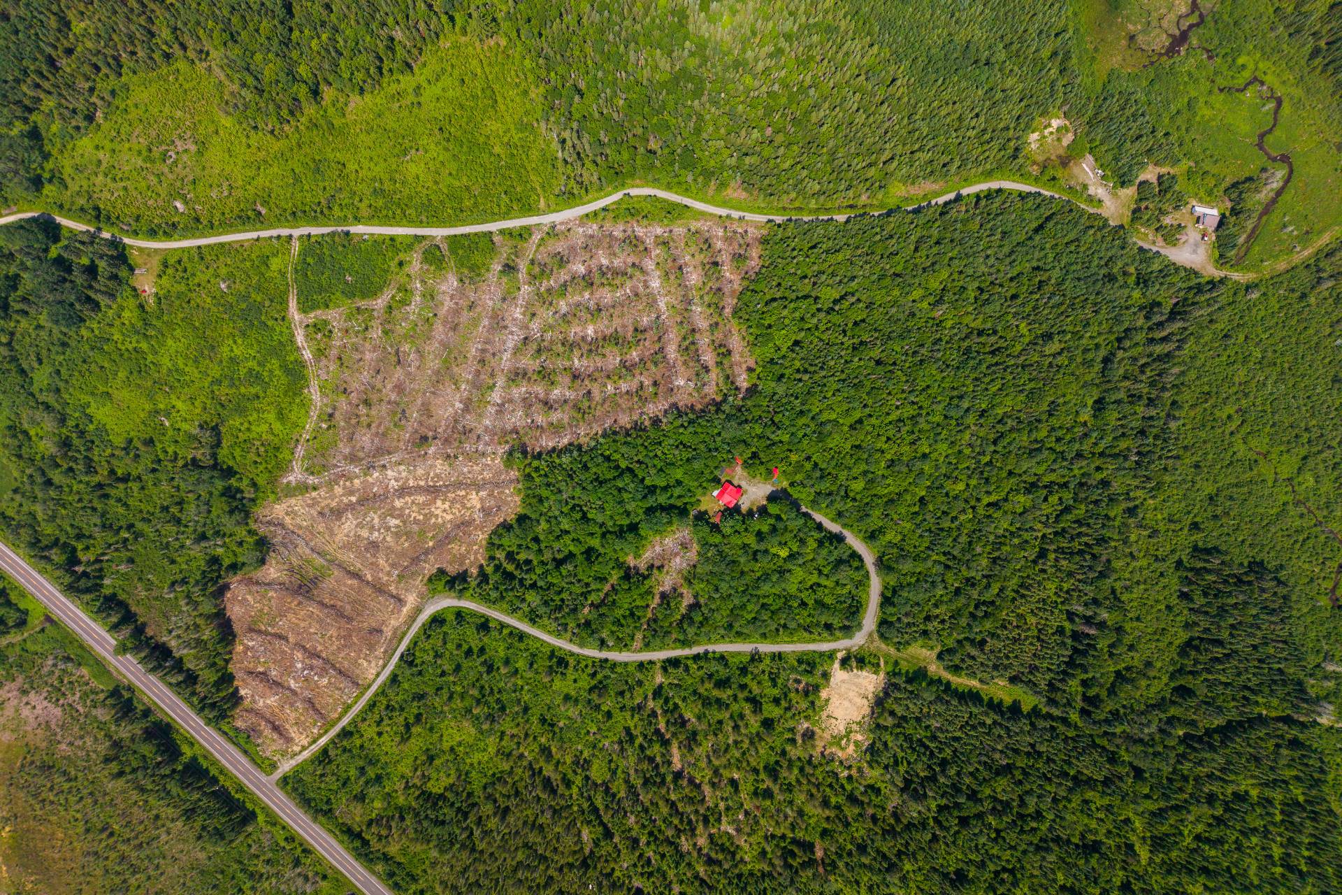 Aerial photo