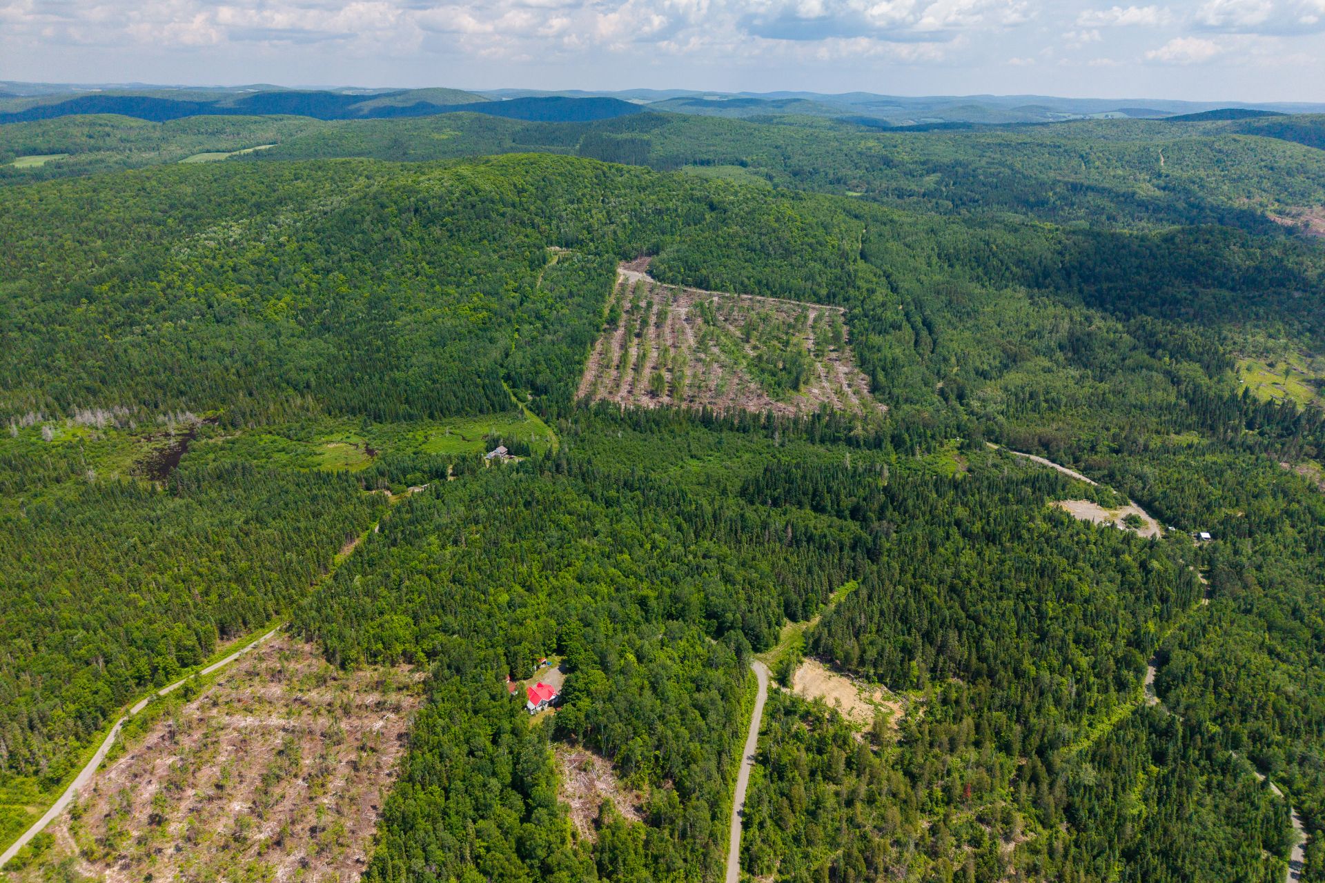 Aerial photo