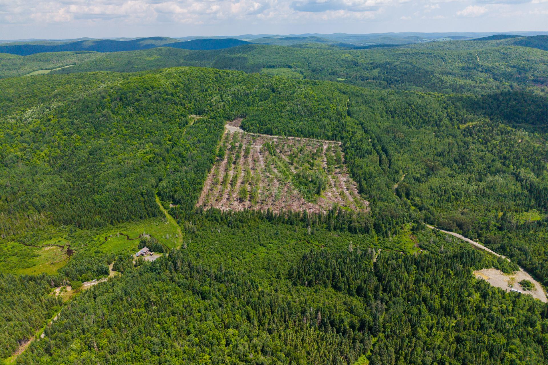 Aerial photo