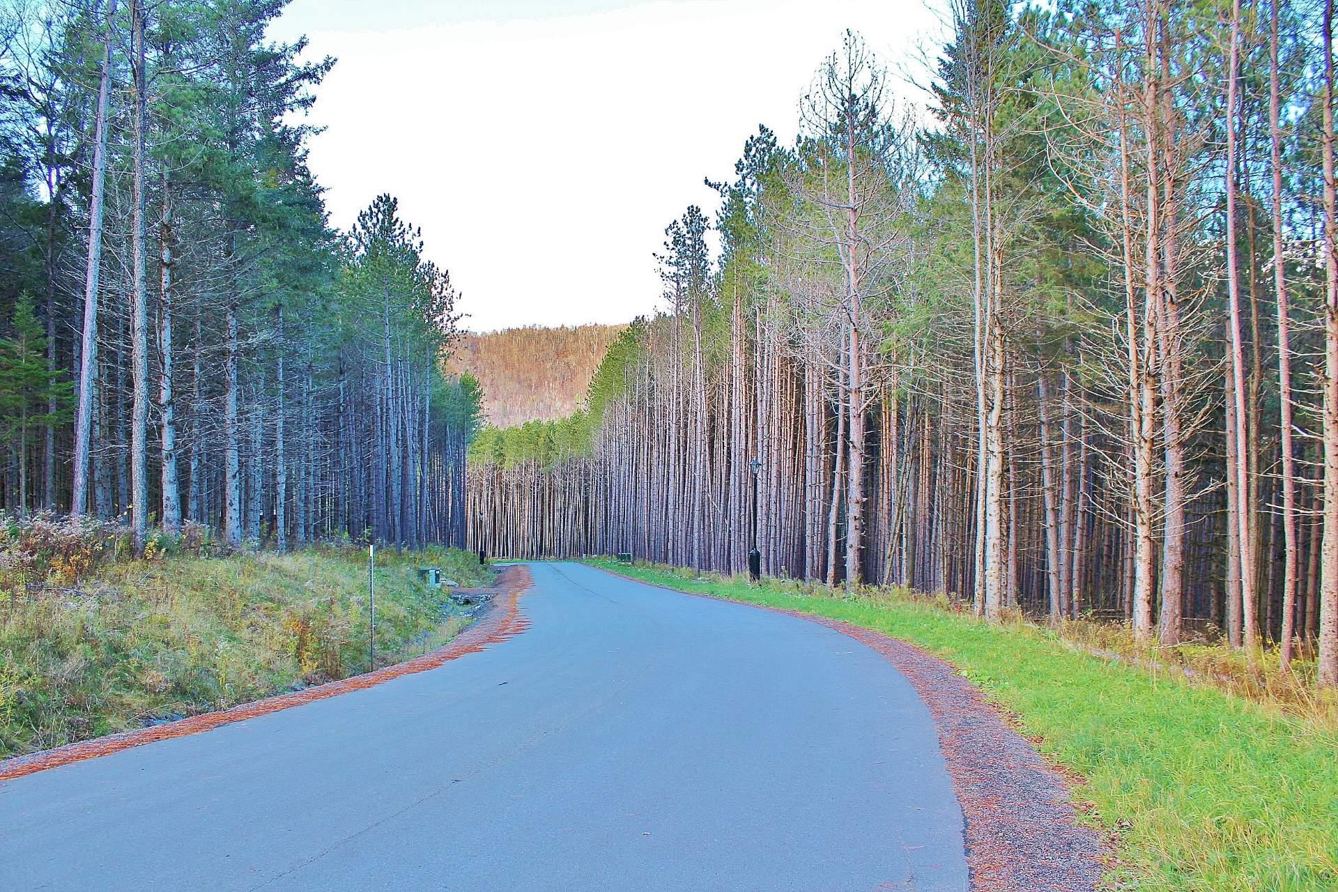 Terre/Terrain