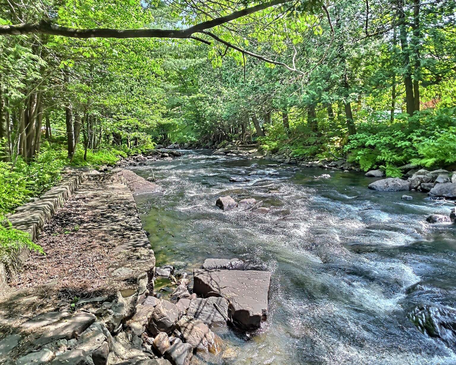 Bord de l'eau