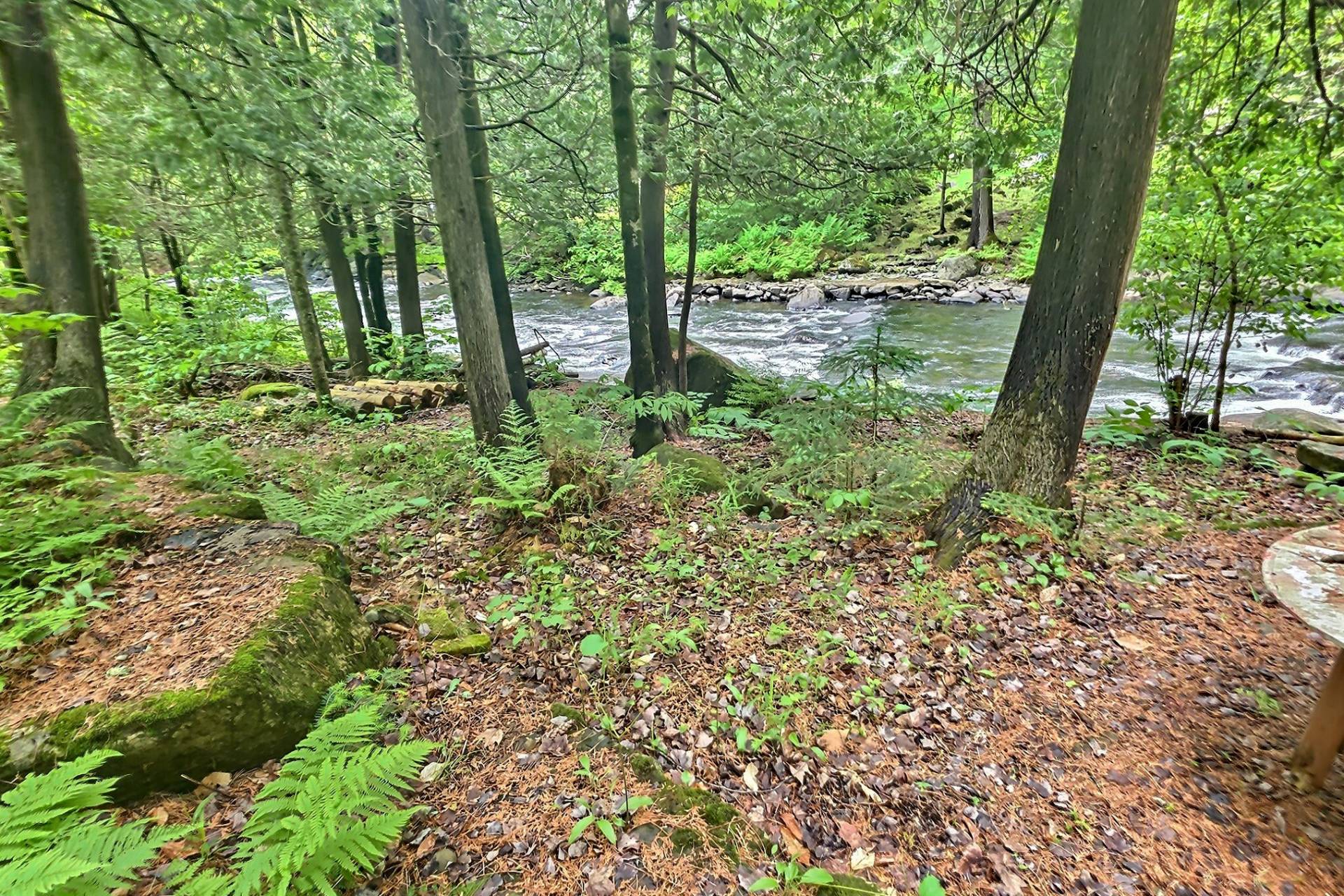 Vue sur l'eau