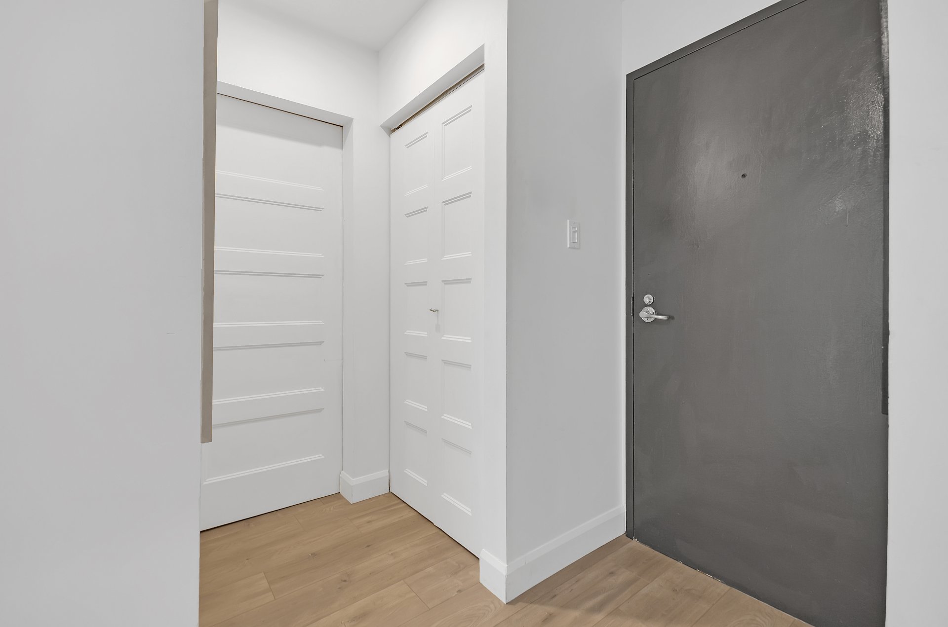 Hall d'entrée/Vestibule