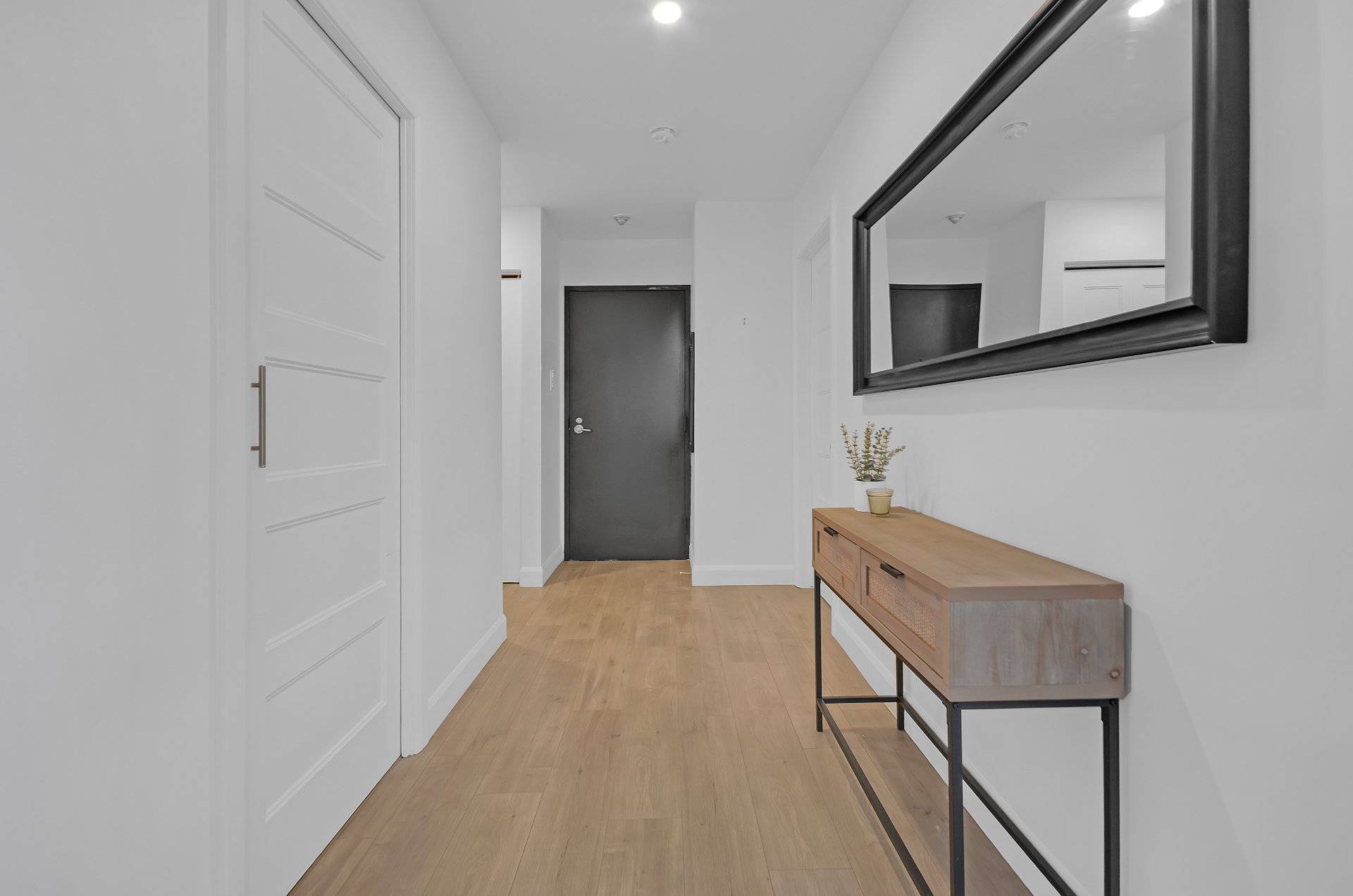 Hall d'entrée/Vestibule