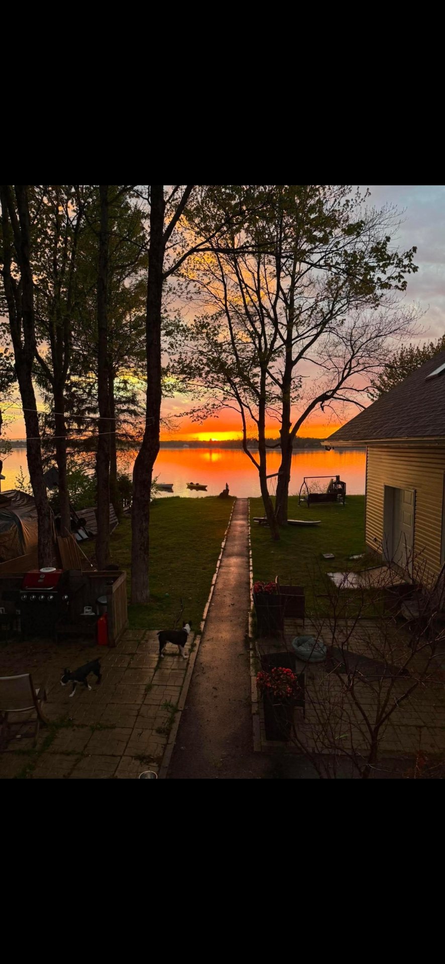 Water view