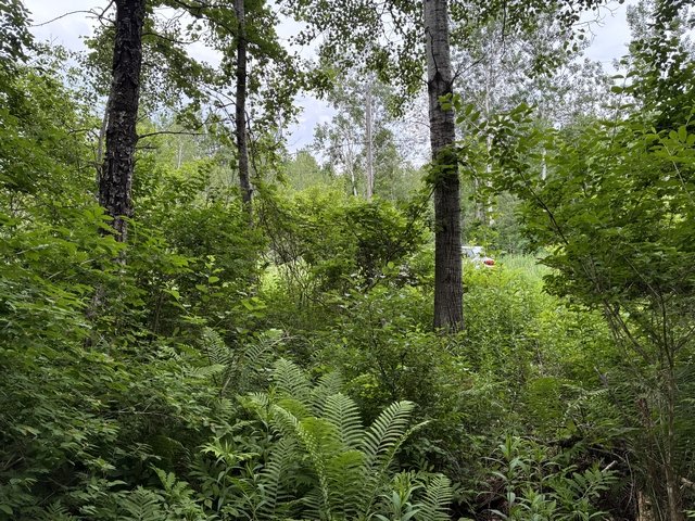 Terre/Terrain