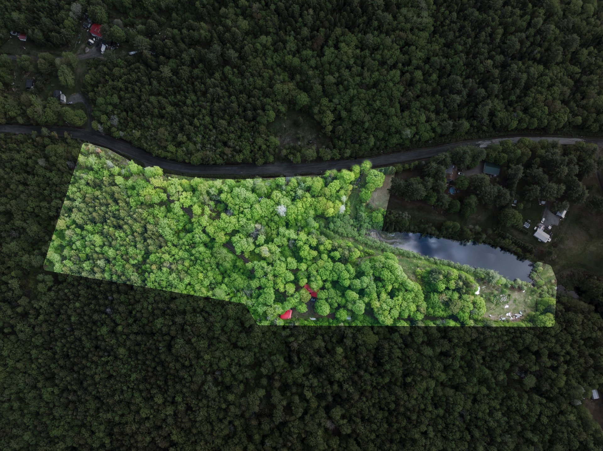 Aerial photo