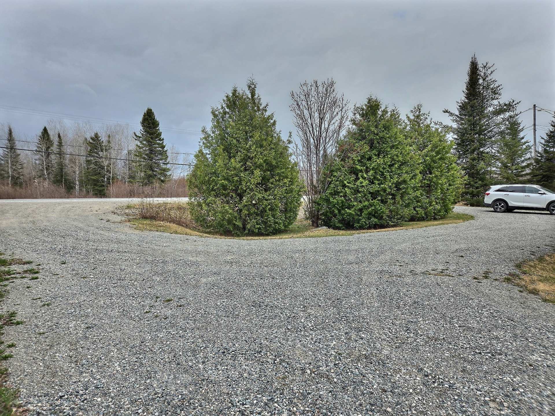 Overall View