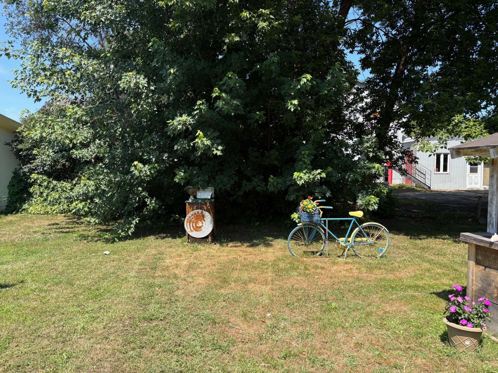 Backyard