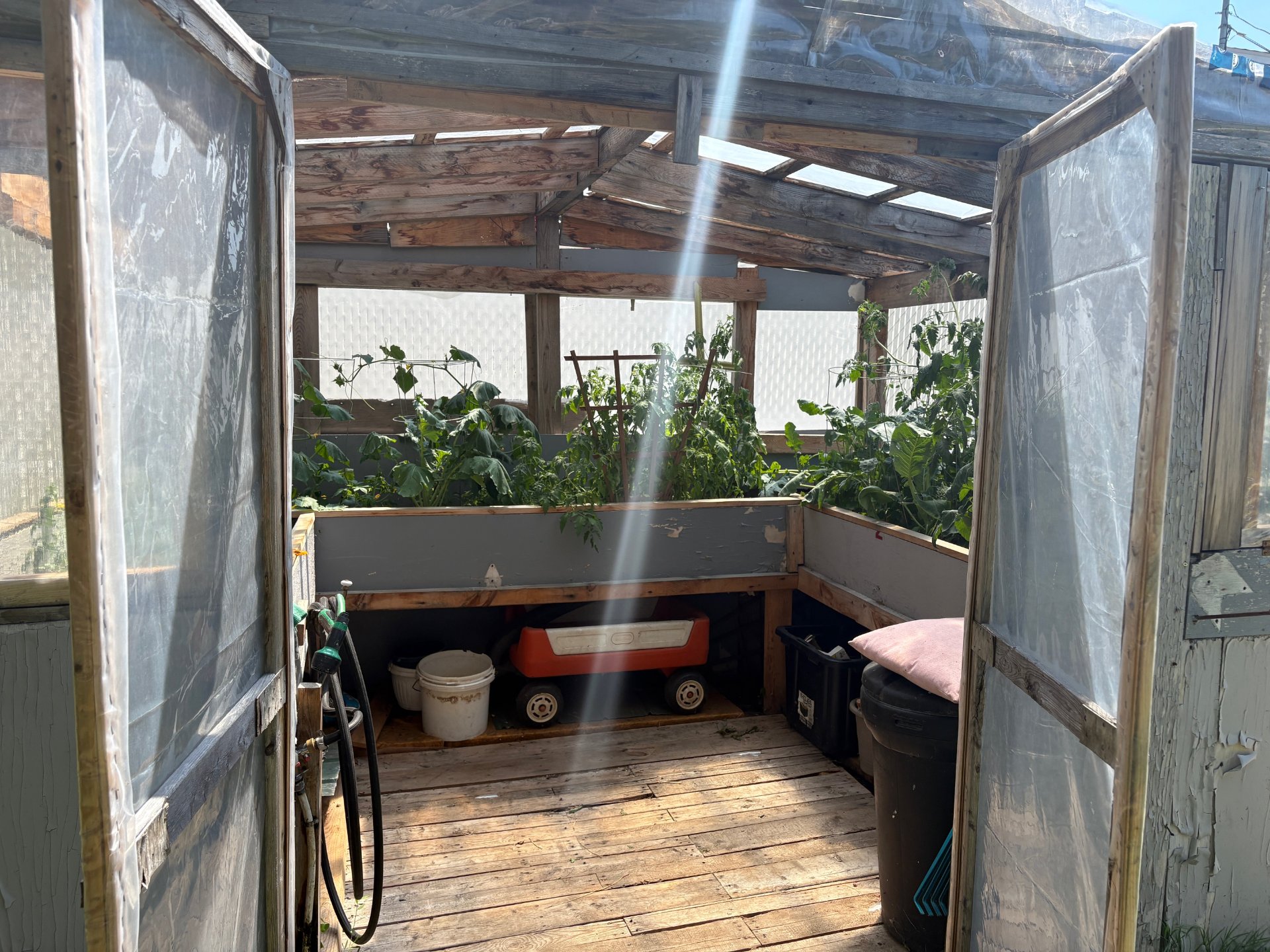 Greenhouse