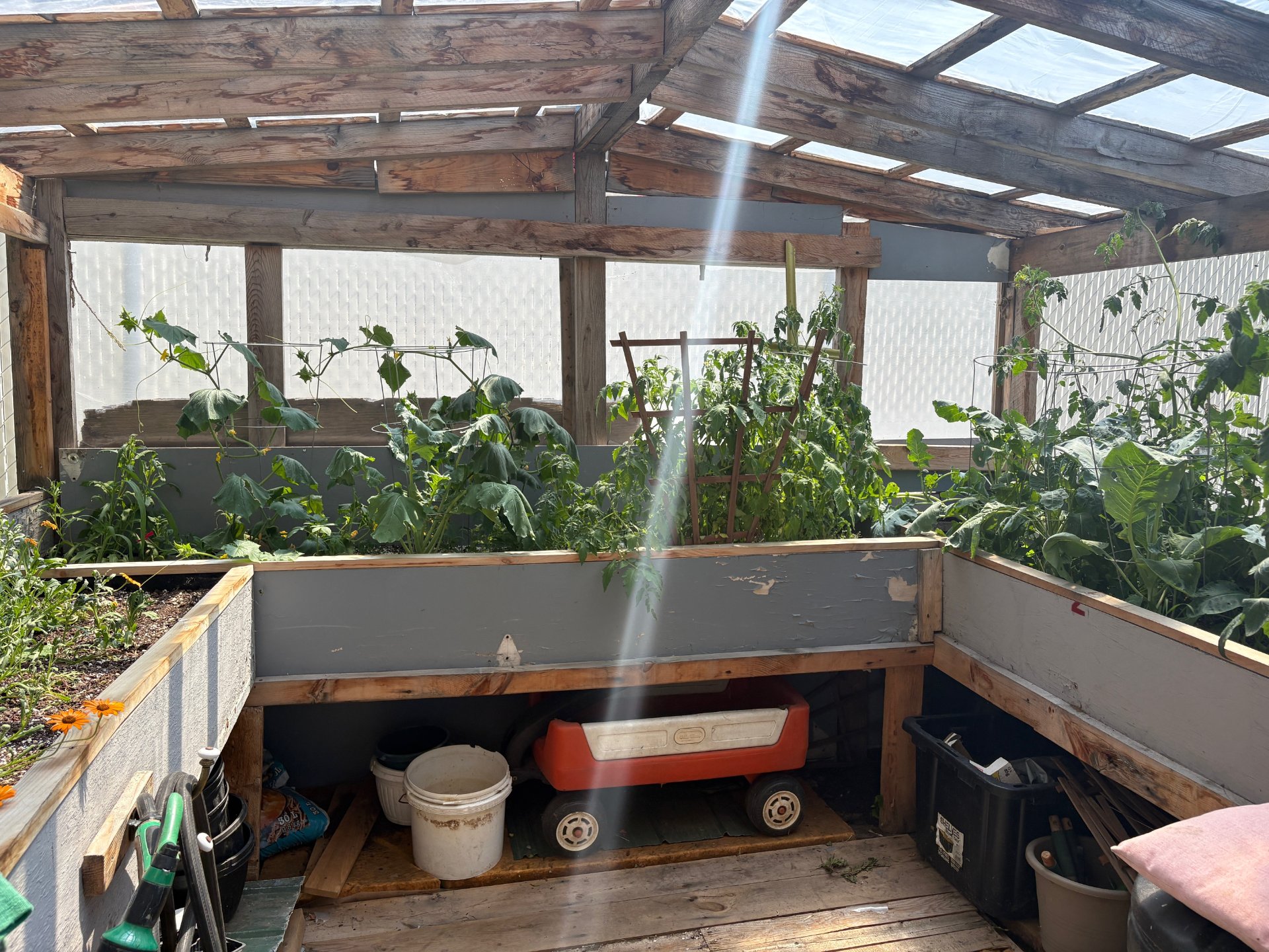 Greenhouse