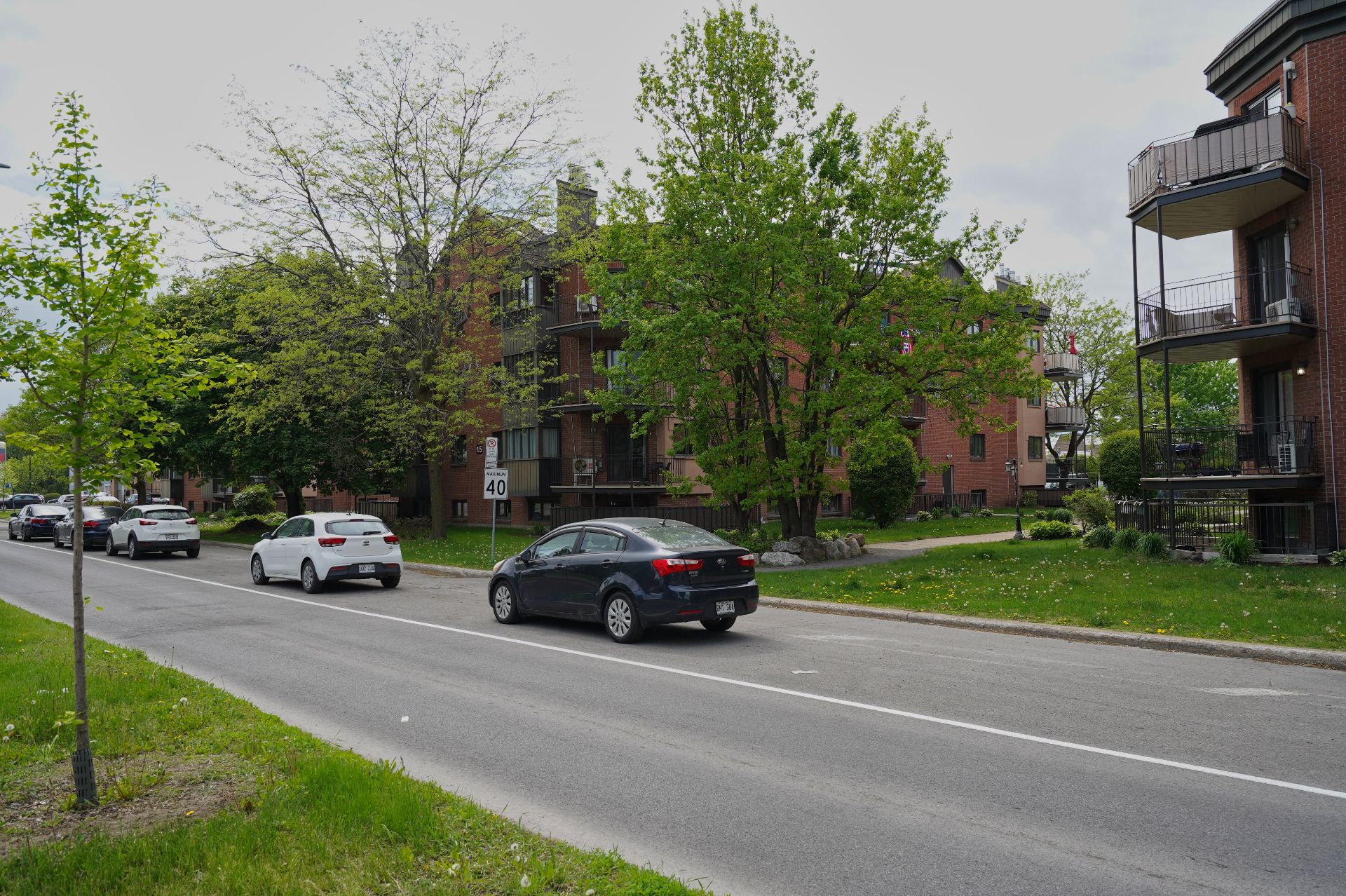 Street