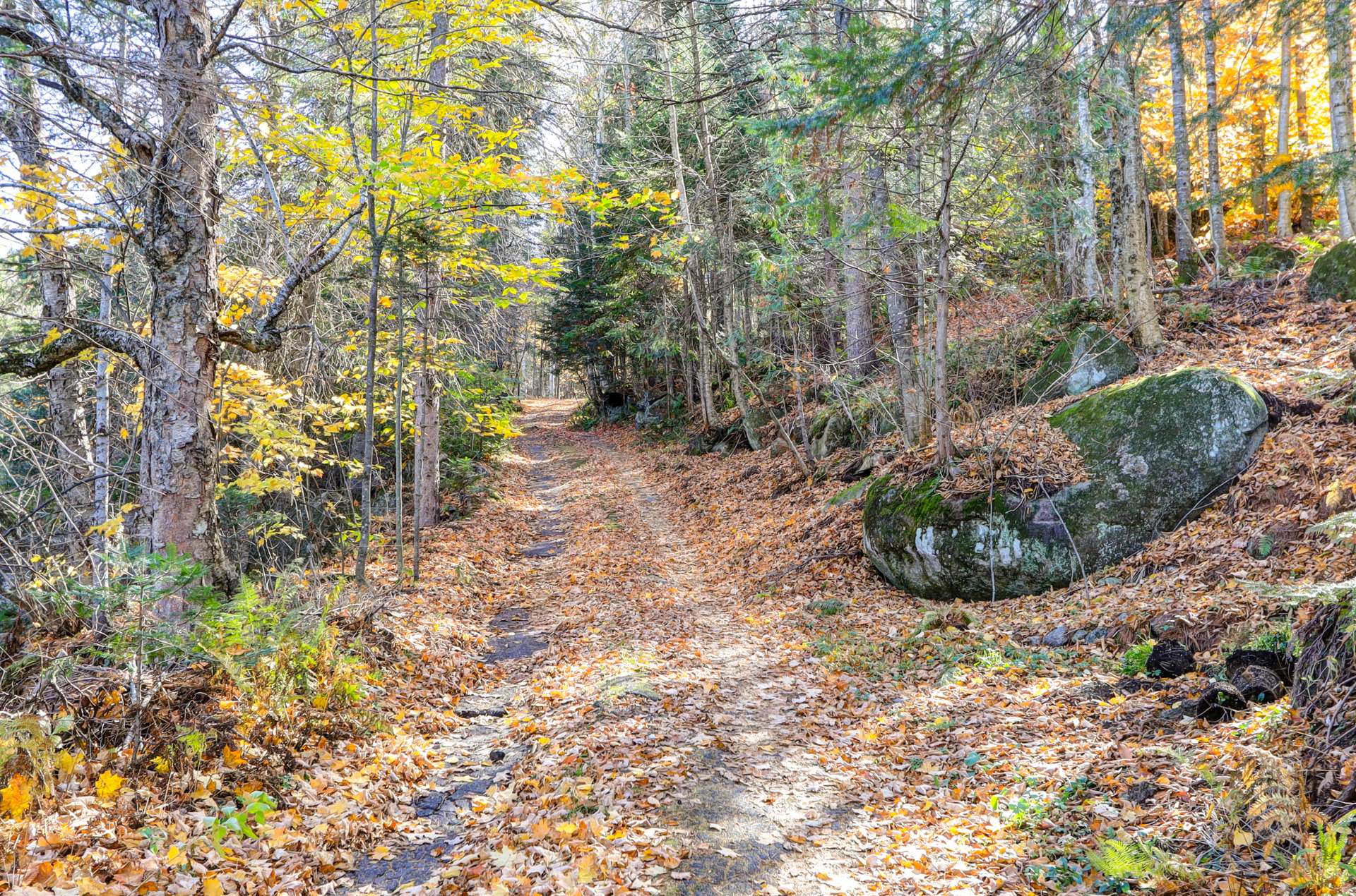 Accès au plan d'eau