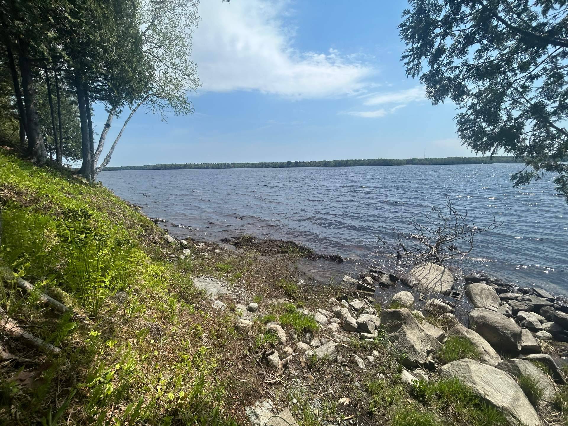 Waterfront