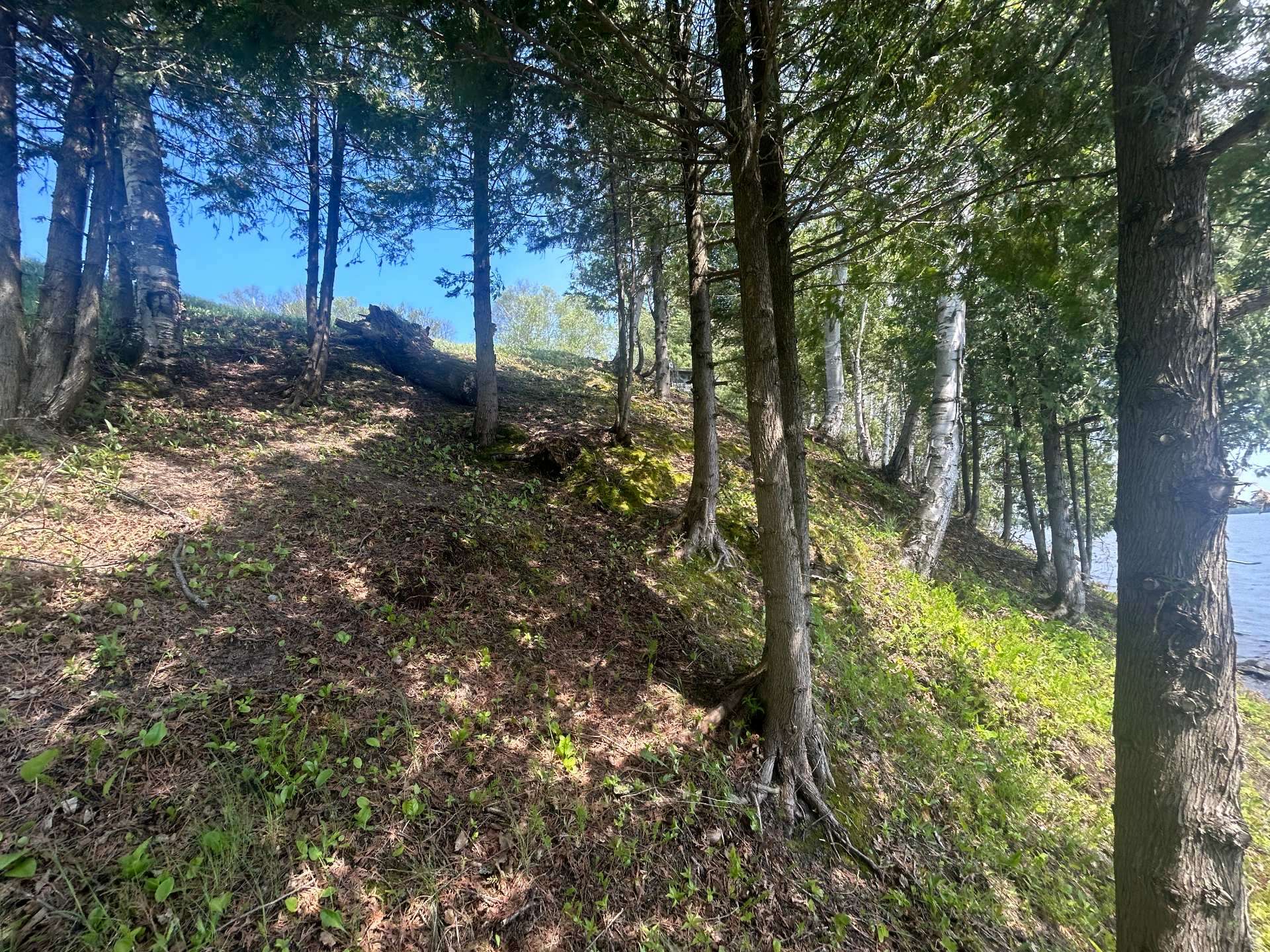 Land/Lot