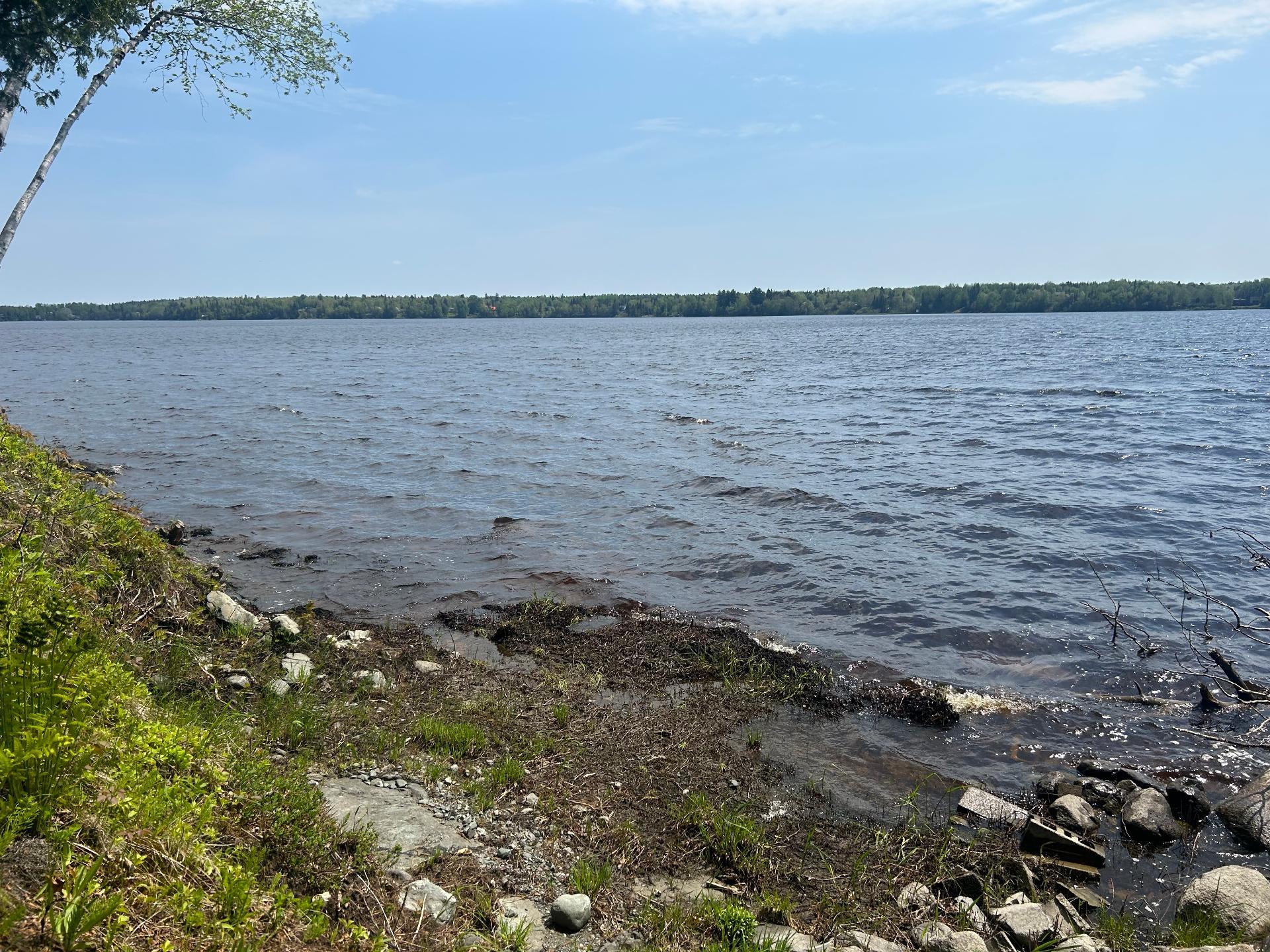 Waterfront